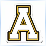 Appalachian State University