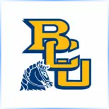 Briar Cliff University