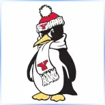 Youngstown State University